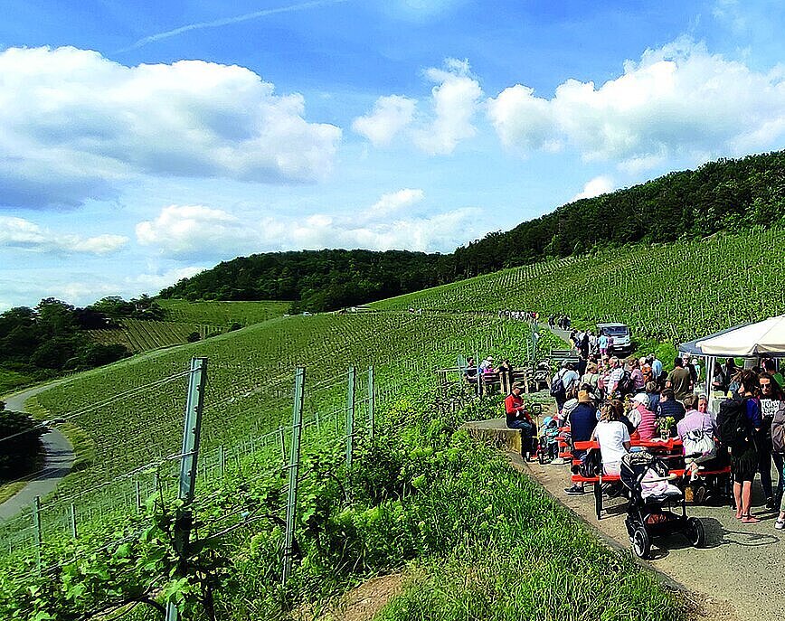 Weinschlendern in Veitshöchheim: Jil Abfalter, ZweiUferLand