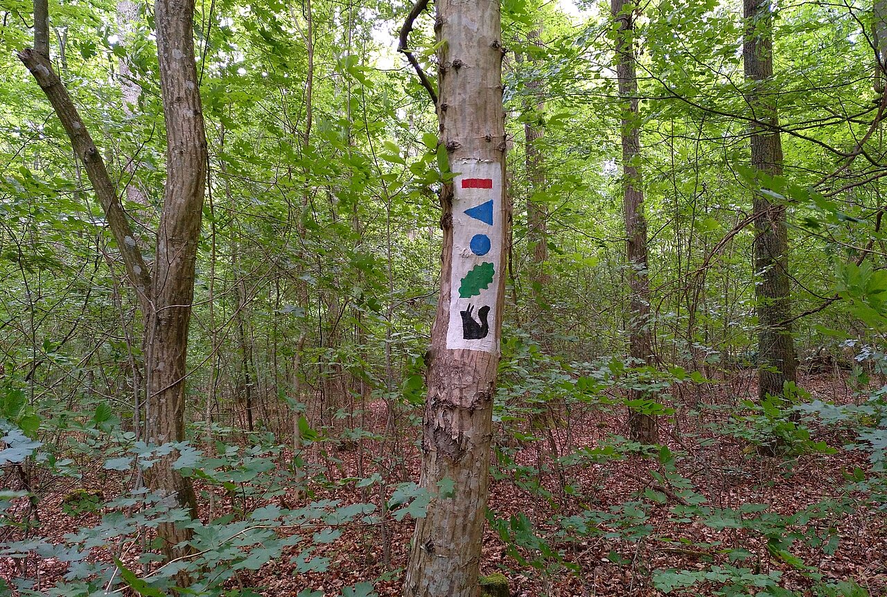 Wanderweg Roter Strich Veitshöchheim.jpg