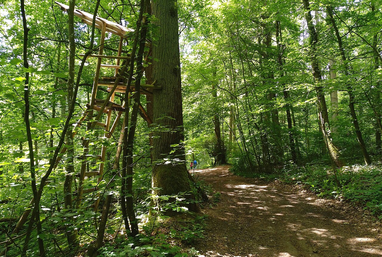 Eichblatt Wanderweg Veitshöchheim.jpg