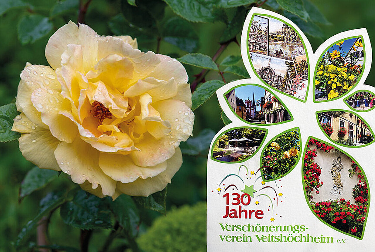 Gartenpracht und Kunstgenuss