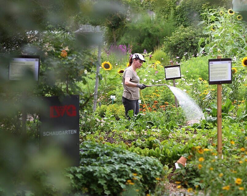 Schaugarten der Landesanstalt für Wein- und Gartenbau