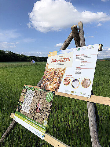 Rundweg Gadheim - Petra Reichert-Südbeck