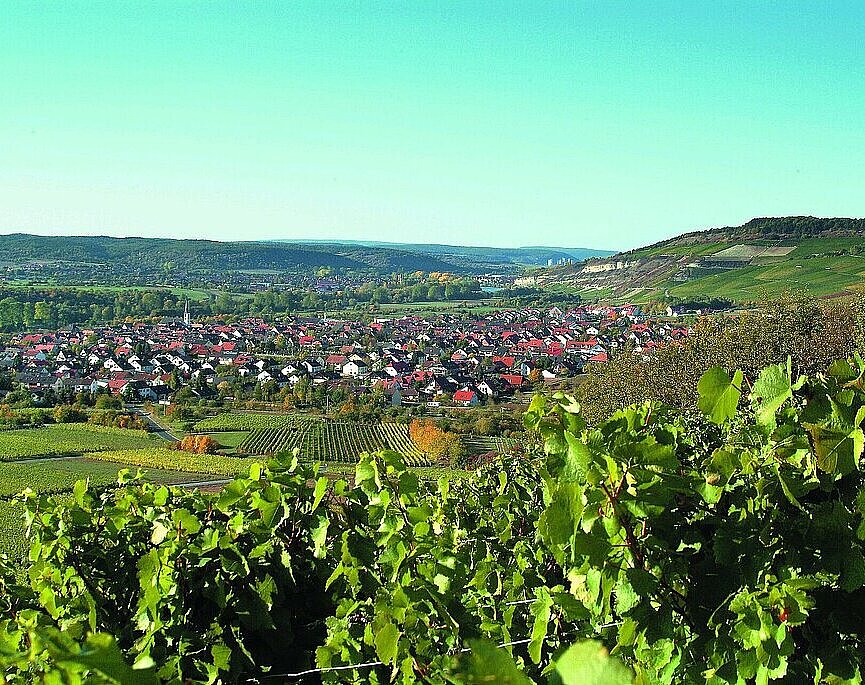 Weinberge Thüngersheim: Dieter Gürz