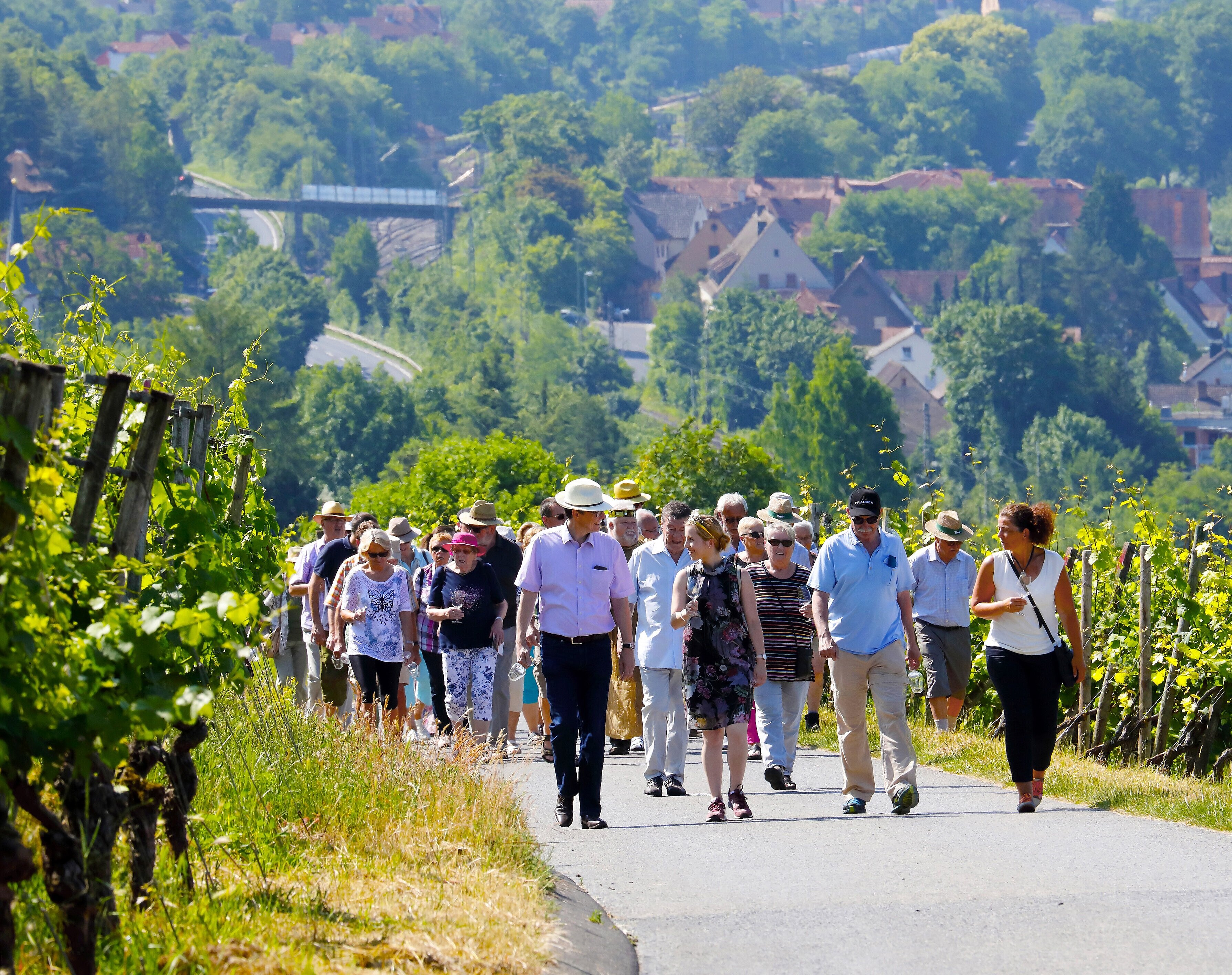 Besucher beim Weinschlendern, die durch die Veitshöchheimer Weinlage Sonnenschein wandern