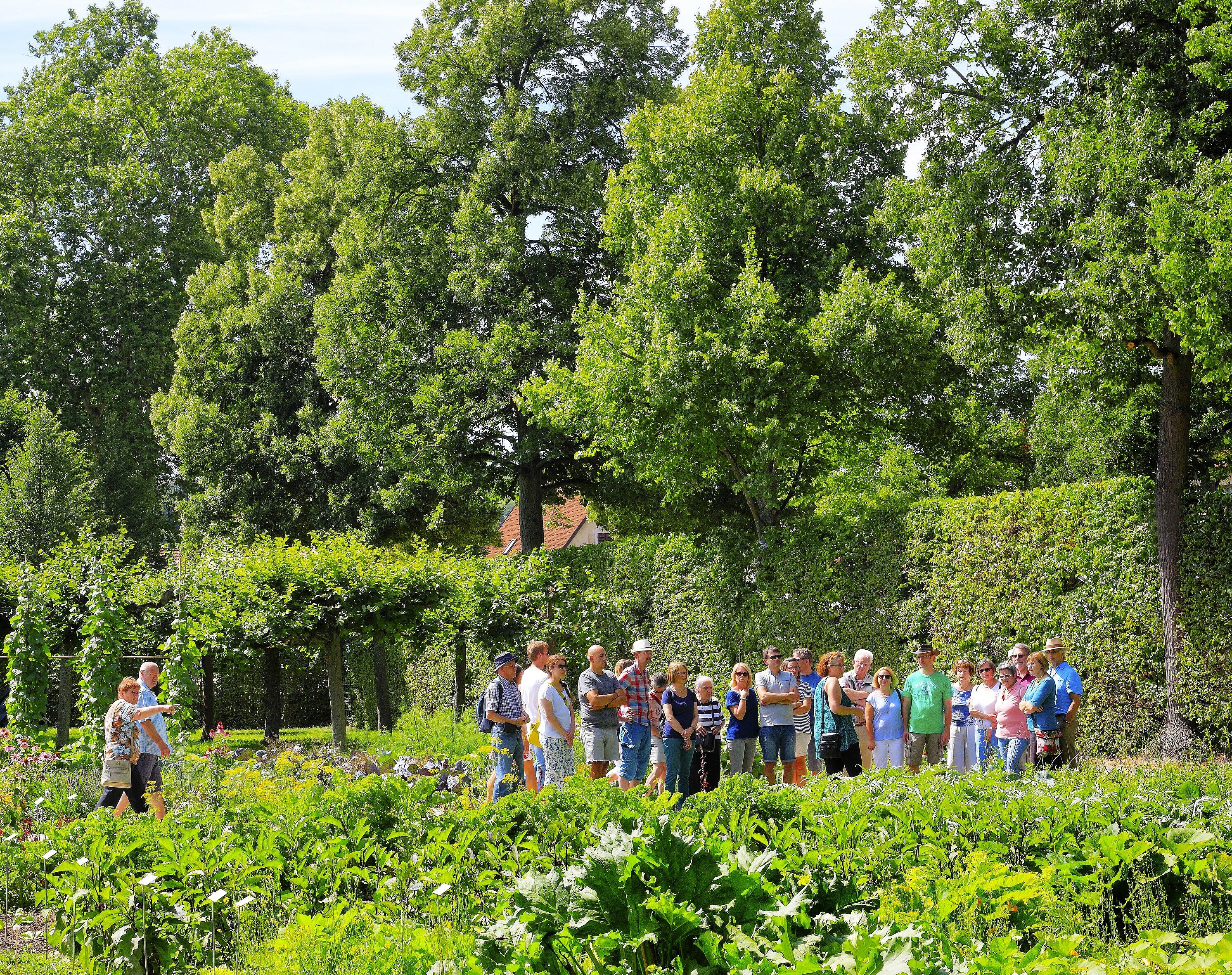 Küchengarten im Rokokogarten Veitshöchheim