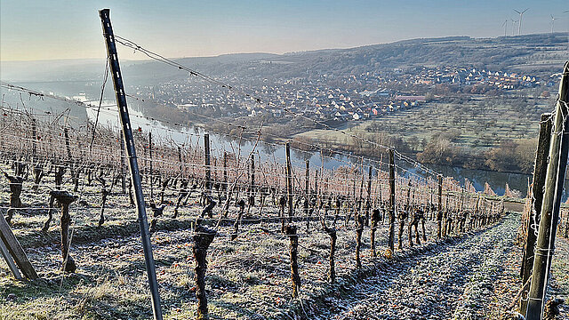 Winterwanderung am Sonnenschein